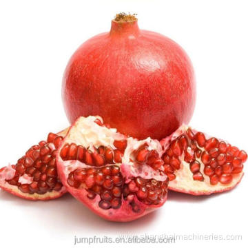 0.2-10TPH fruit pomegranate juice making machine